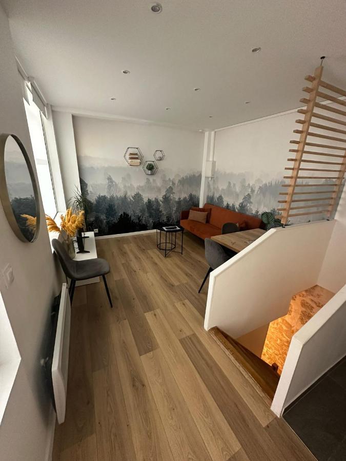 Modern And Warm Fully Renovated Split Level Apart Steps Away From The Grands Boulevard