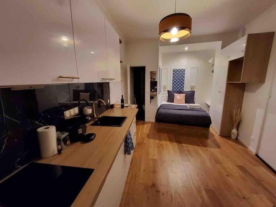 Du Theatre Rez De Chaussee Appartement Paris