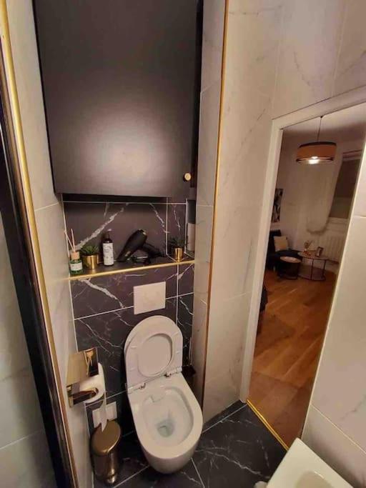 Du Theatre Rez De Chaussee Appartement Paris