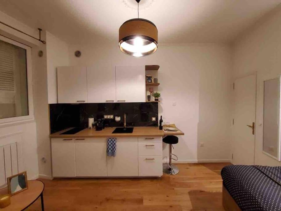 Du Theatre Rez De Chaussee Appartement