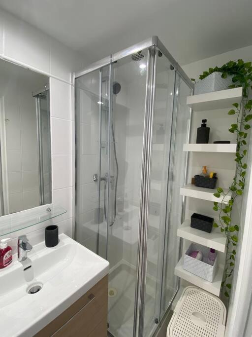 Appartement Ile Saint Louis *