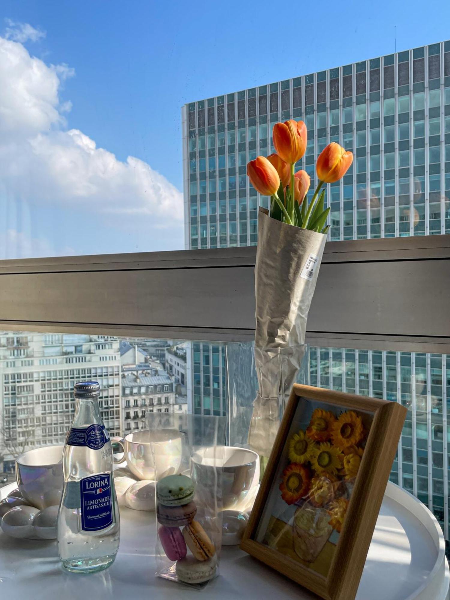 Appartement Sur Les Hauteurs De Montparnasse