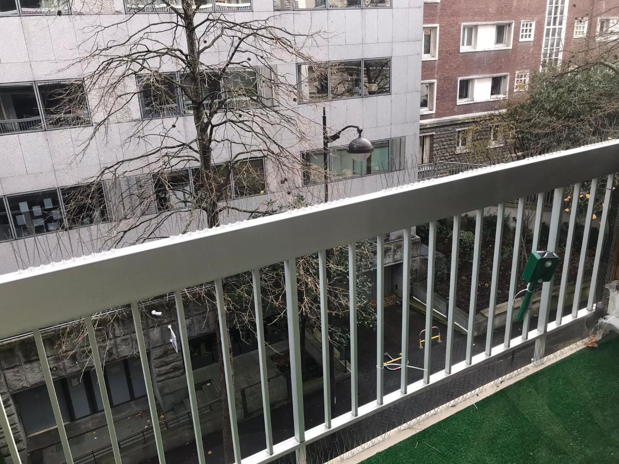Studio 31m2 Plein Est Avec Balcon Laumiere Apartment *