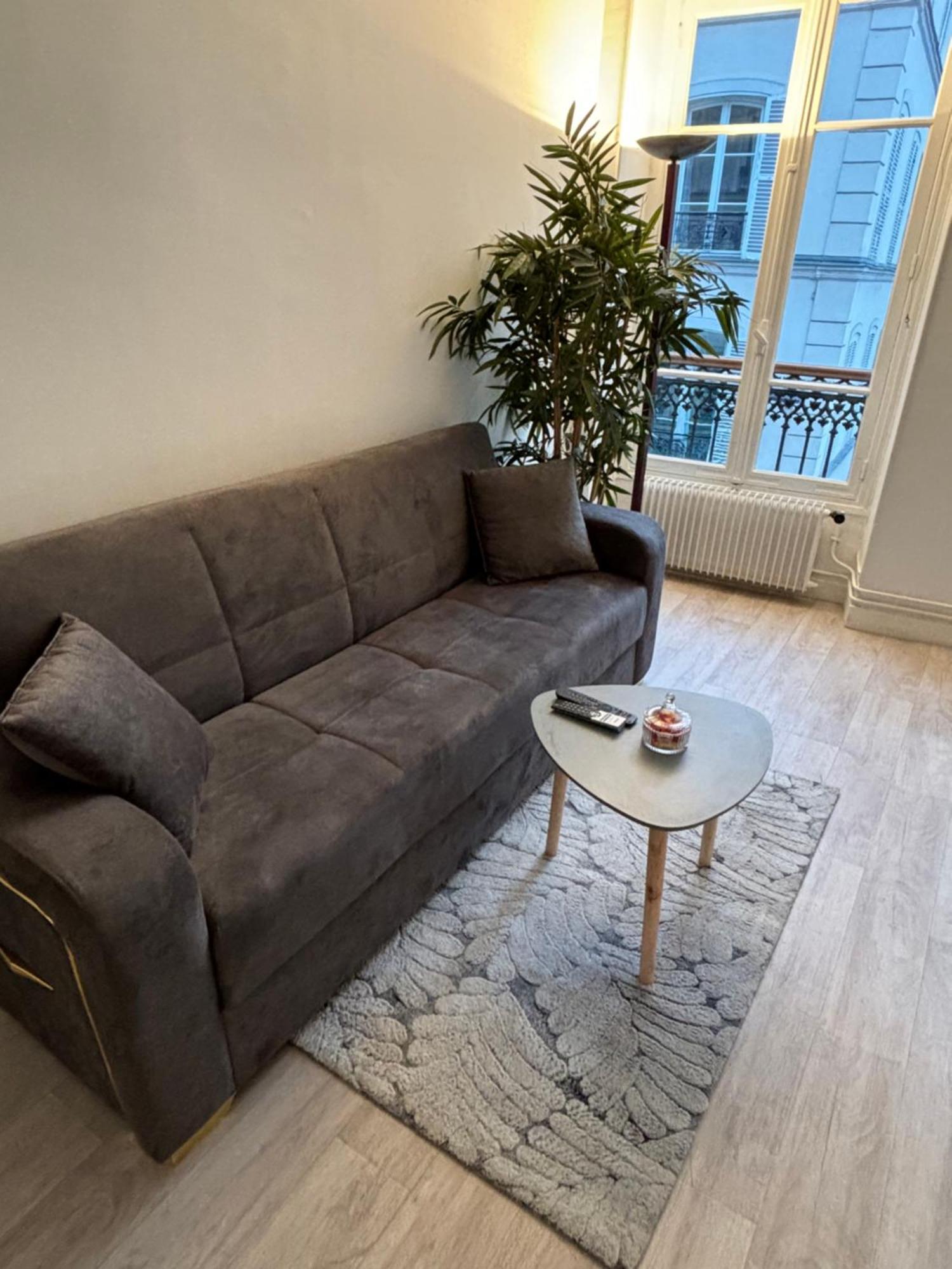 Situe Dans Le 9eme Arrondissement, A Deux Pas Du Sacre-coeur Appartement