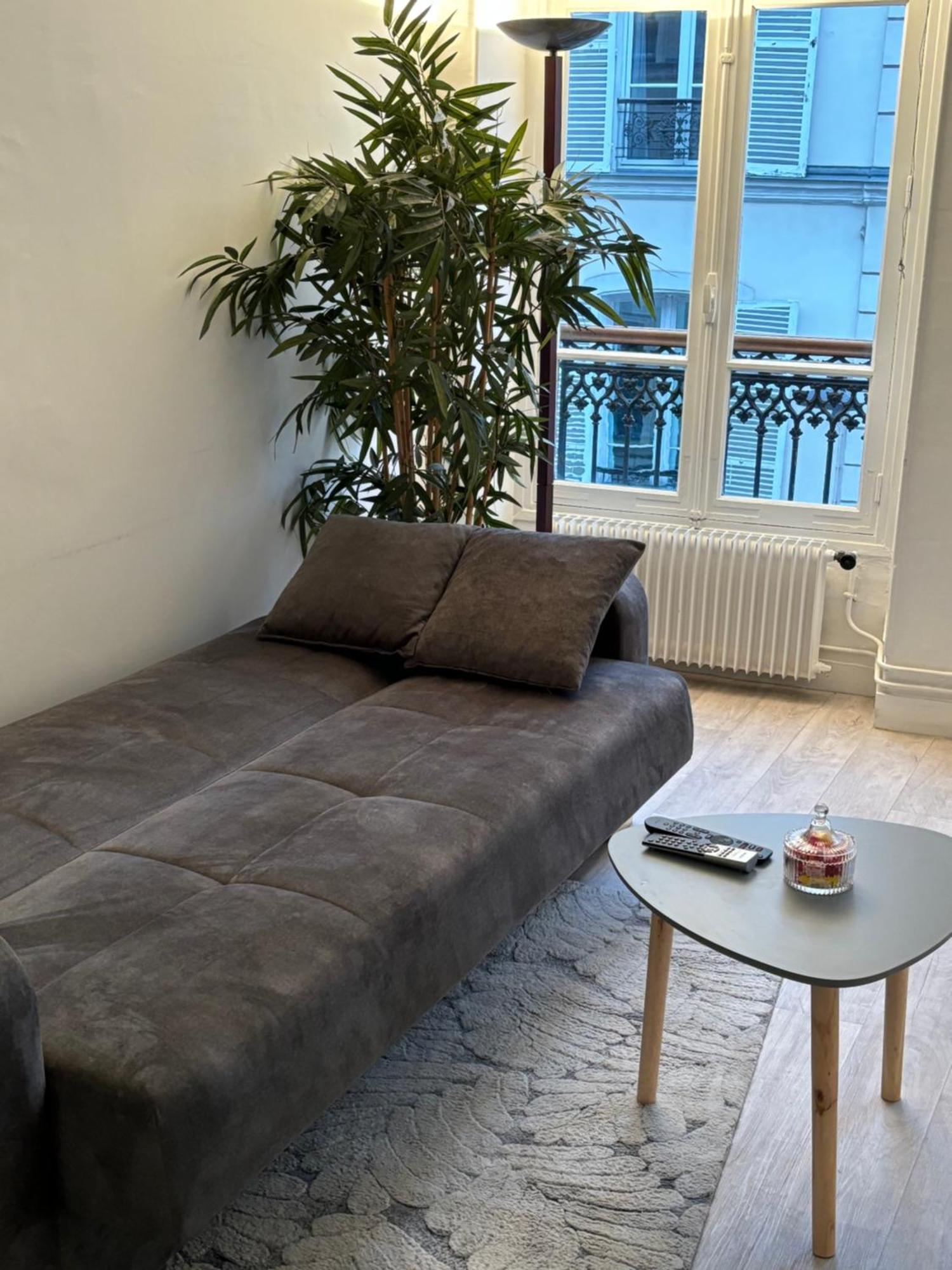Situe Dans Le 9eme Arrondissement, A Deux Pas Du Sacre-coeur Appartement Paris