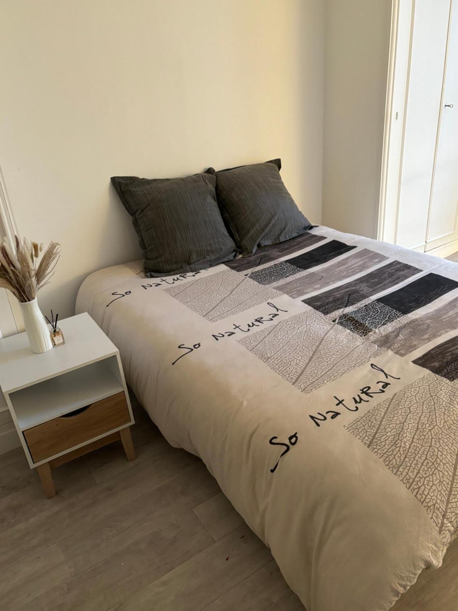 Appartement Situe Dans Le 9eme Arrondissement, A Deux Pas Du Sacre-coeur Paris