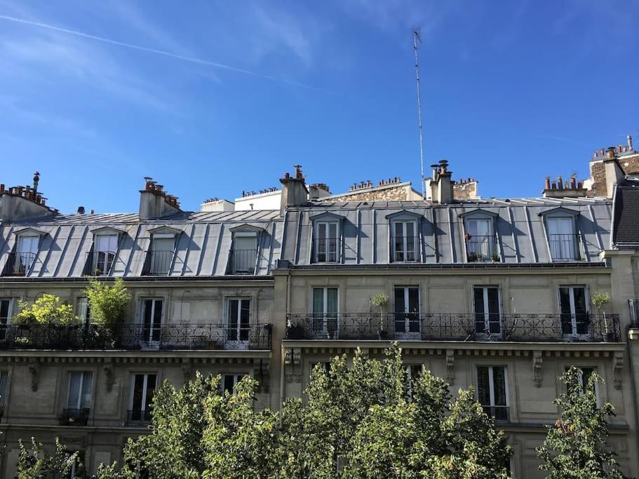 Dans Les Arbres A Montmartre * Paris