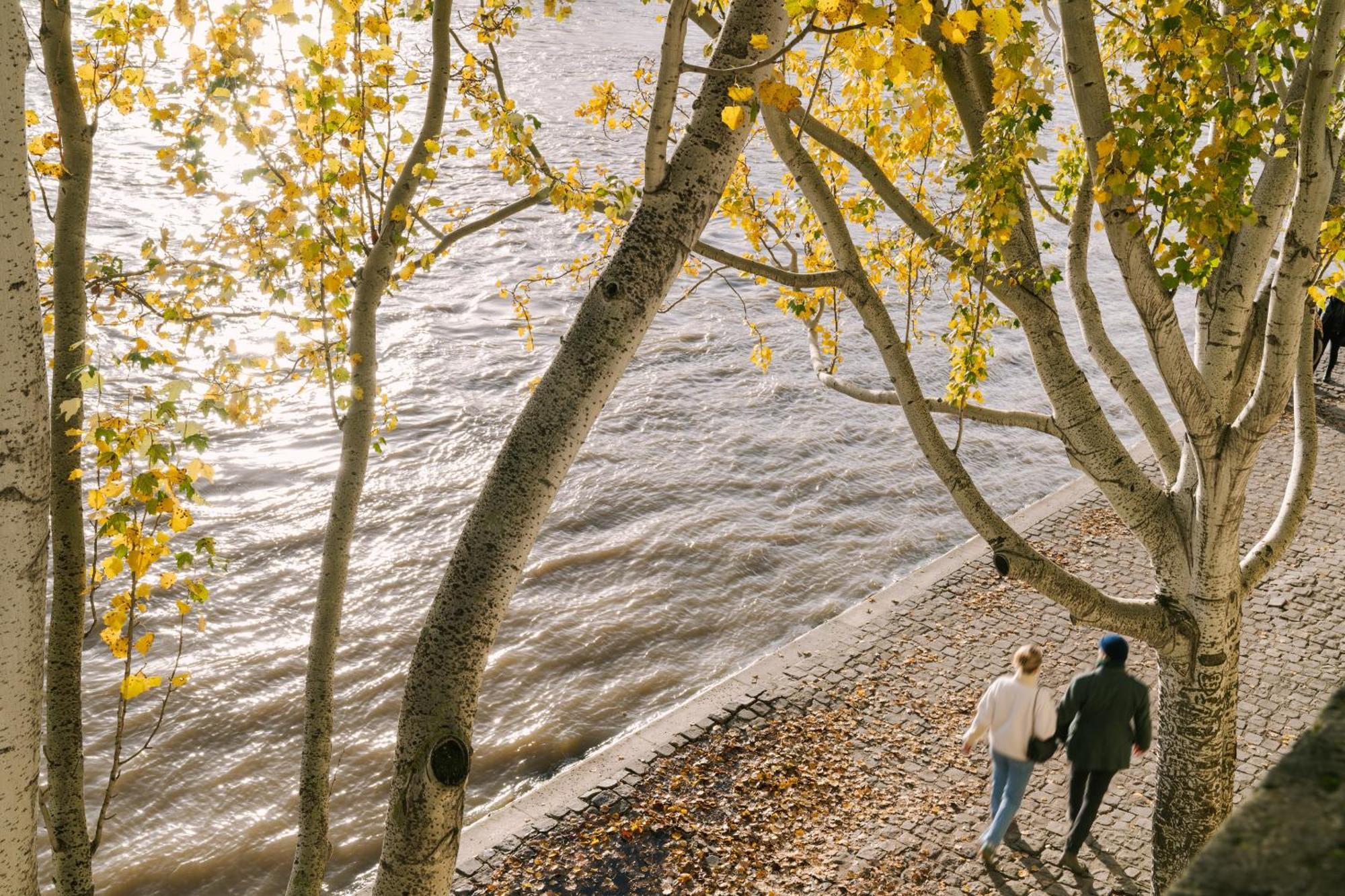 Atala Powered By Sonder Paris