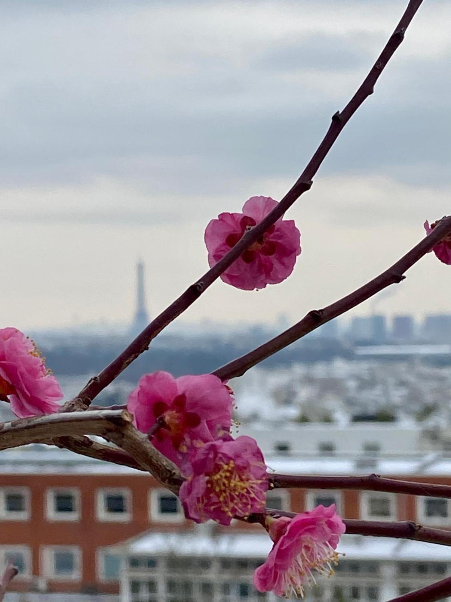 Ananda Huo Privatunterkunft Paris