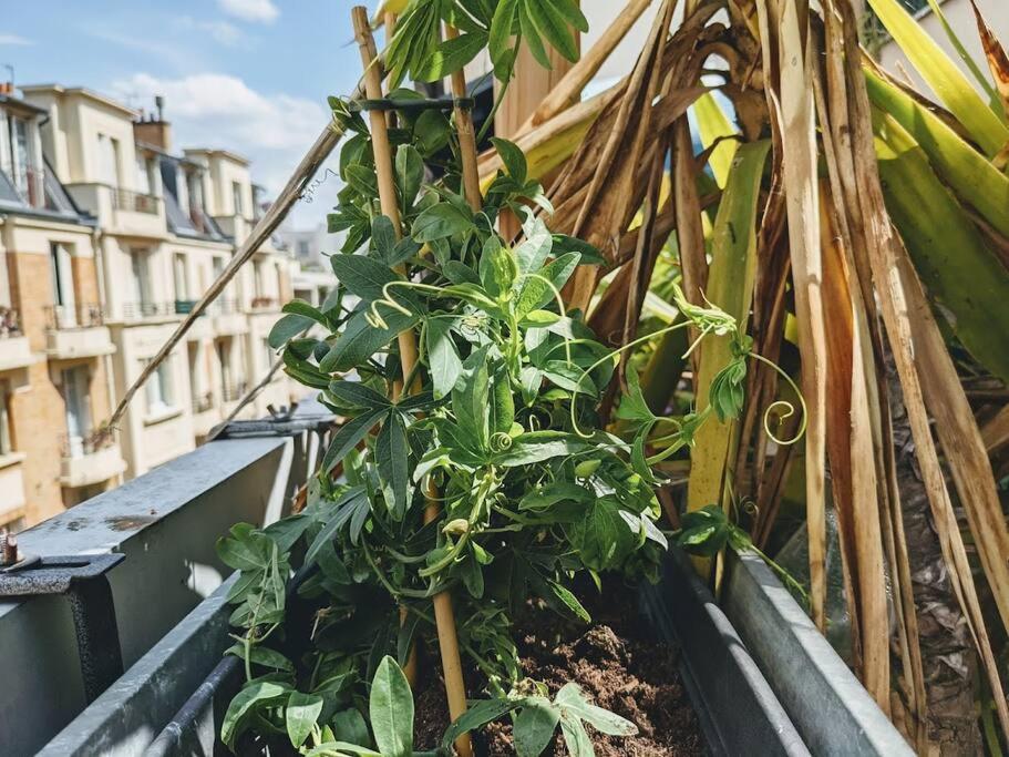 Appartement La Colonie // Cosy - Terrasse - Butte Aux Cailles *