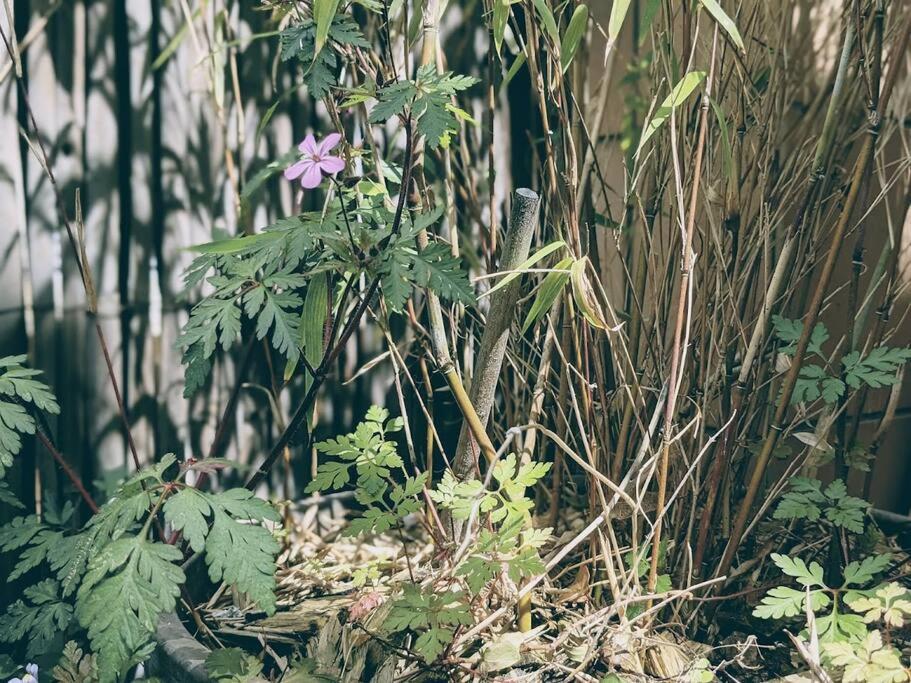 La Colonie // Cosy - Terrasse - Butte Aux Cailles Paris
