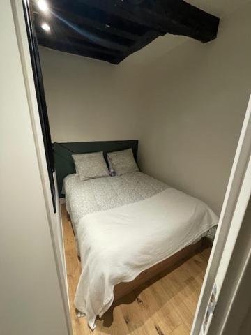 2 Pieces Marais Apartment *