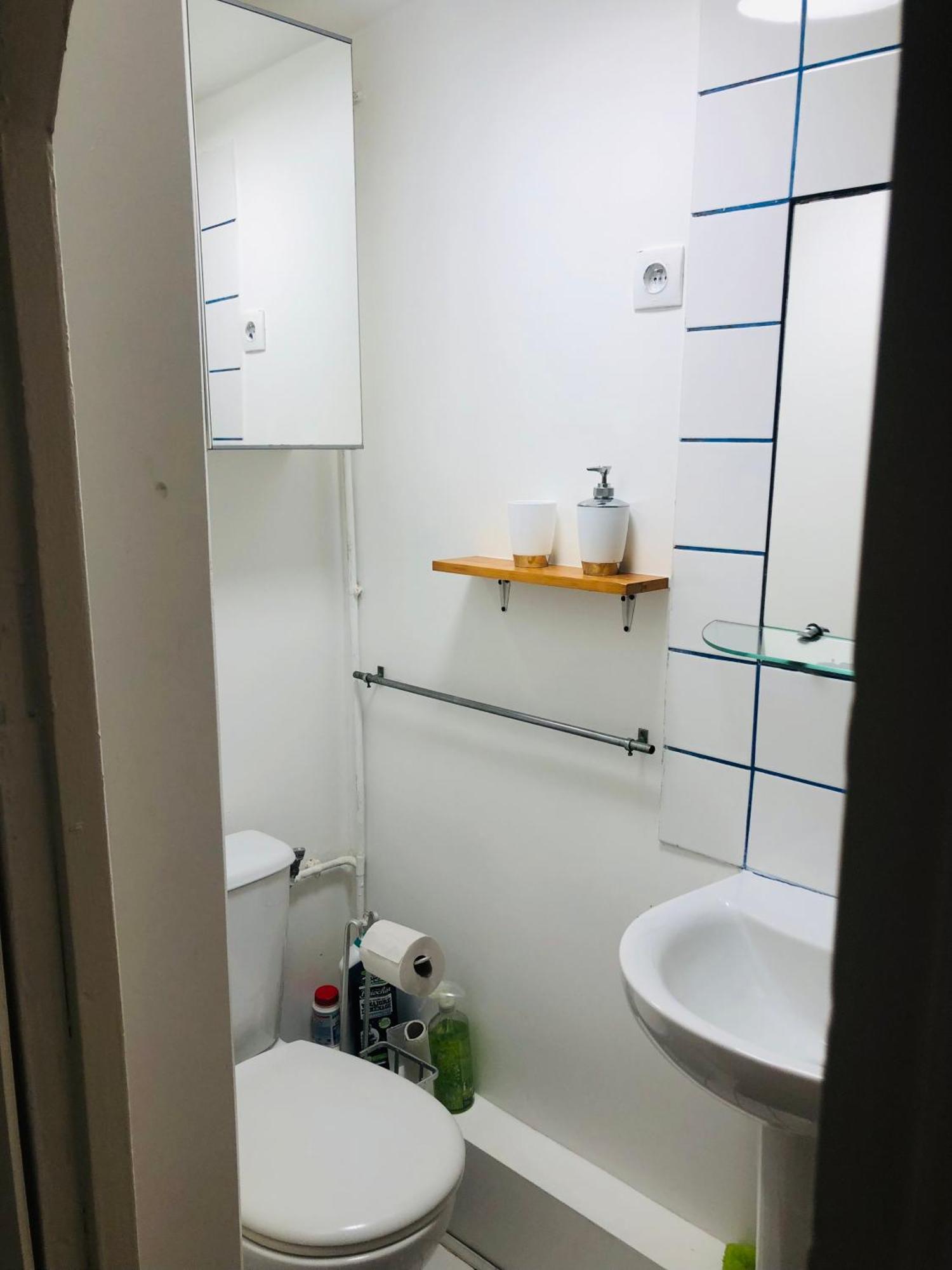 Habitation Salome Apartment Paris