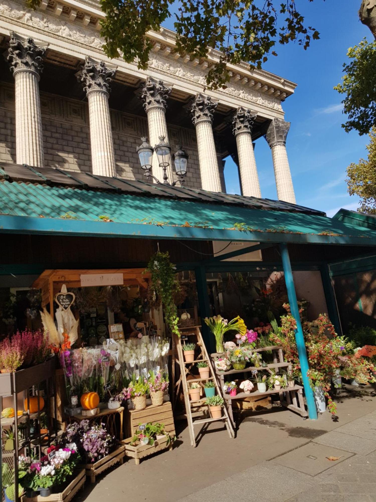 Alison Hotel Paris