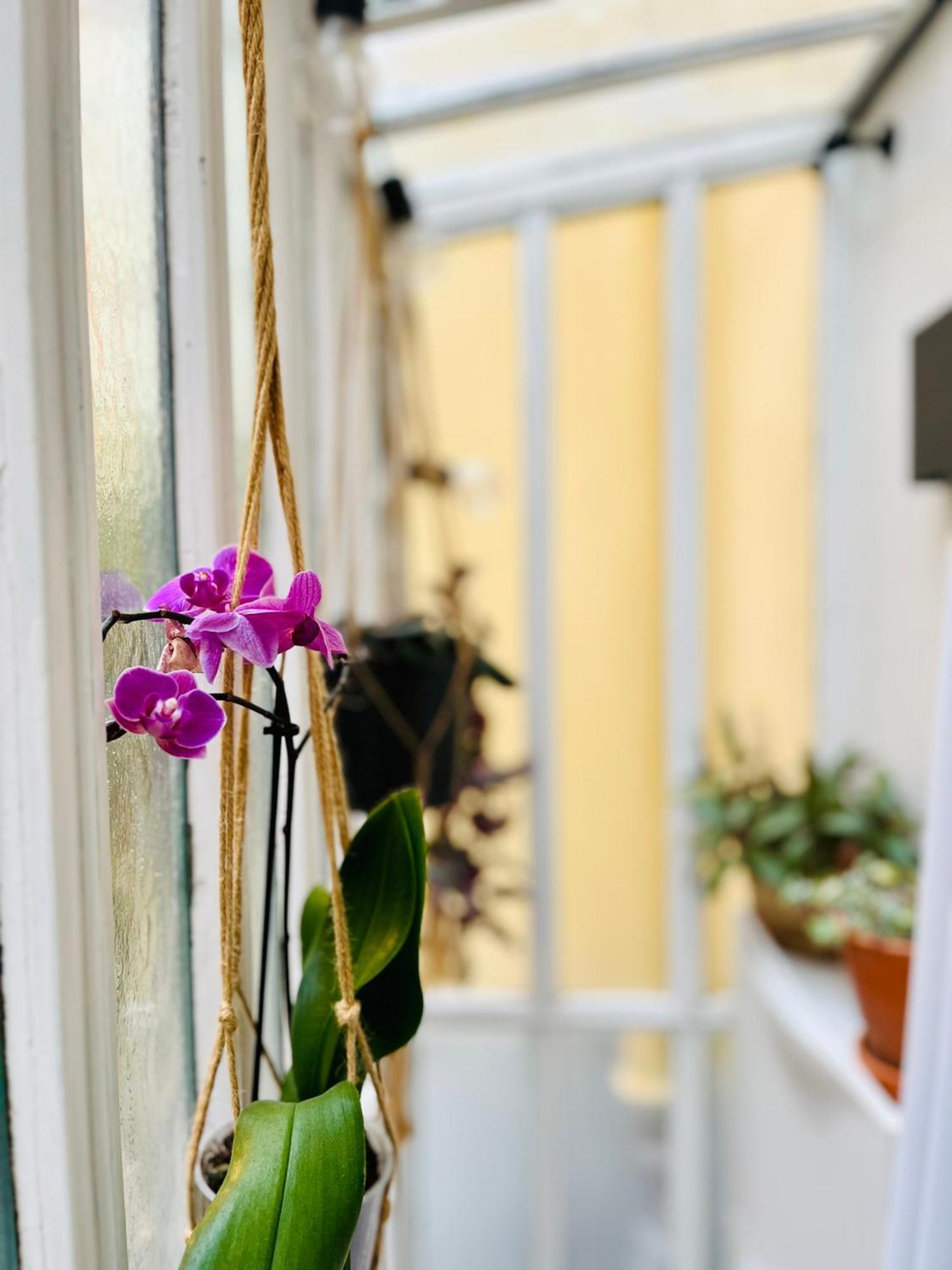 Apartment Plein Coeur De : Duplex A Bastille Paris
