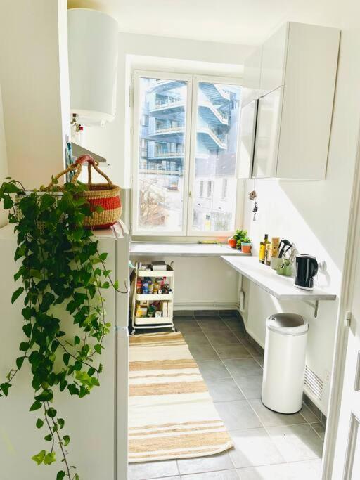 Appartement Beautiful Bright Flat Jardin Des Plantes