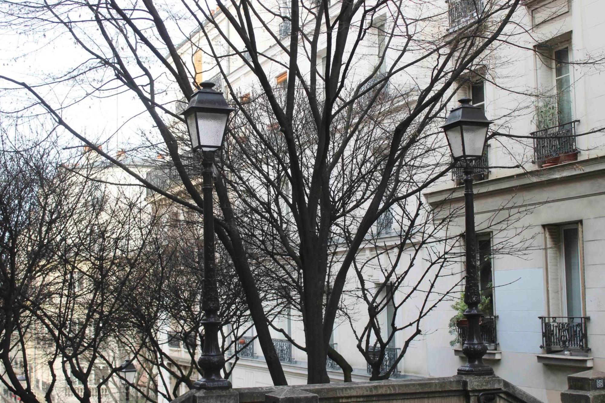 Beautiful Renovated In Paris