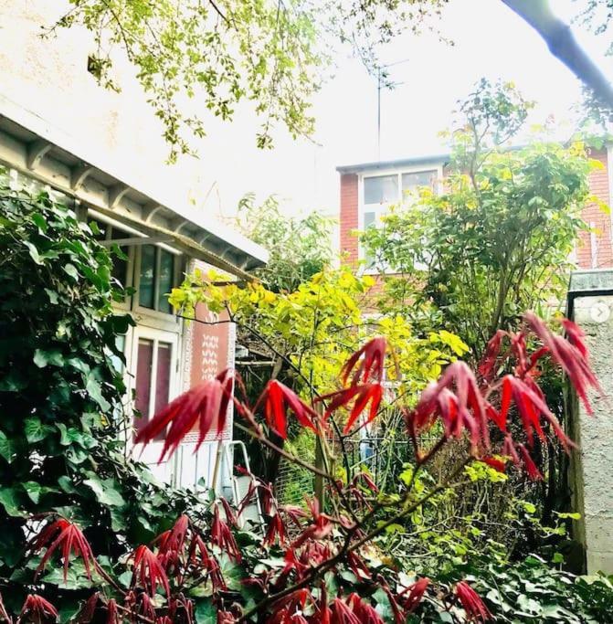 Quiet On Garden 14 Apartment