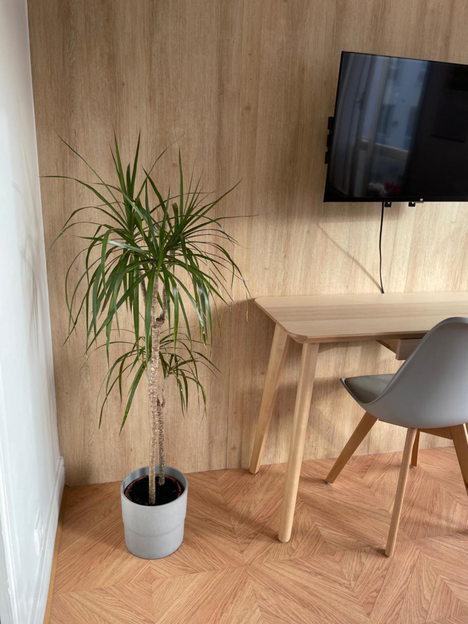 Apartment Sweet House In