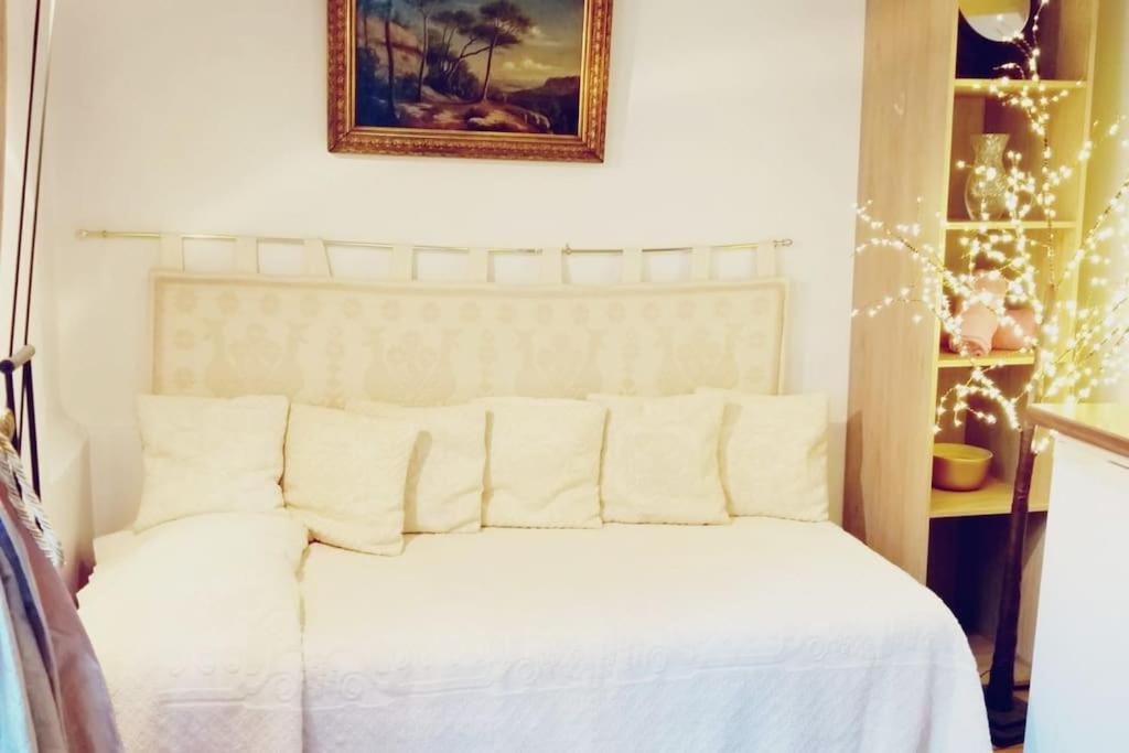 Small Luxurious In The Heart Of Saint Germain Appartement