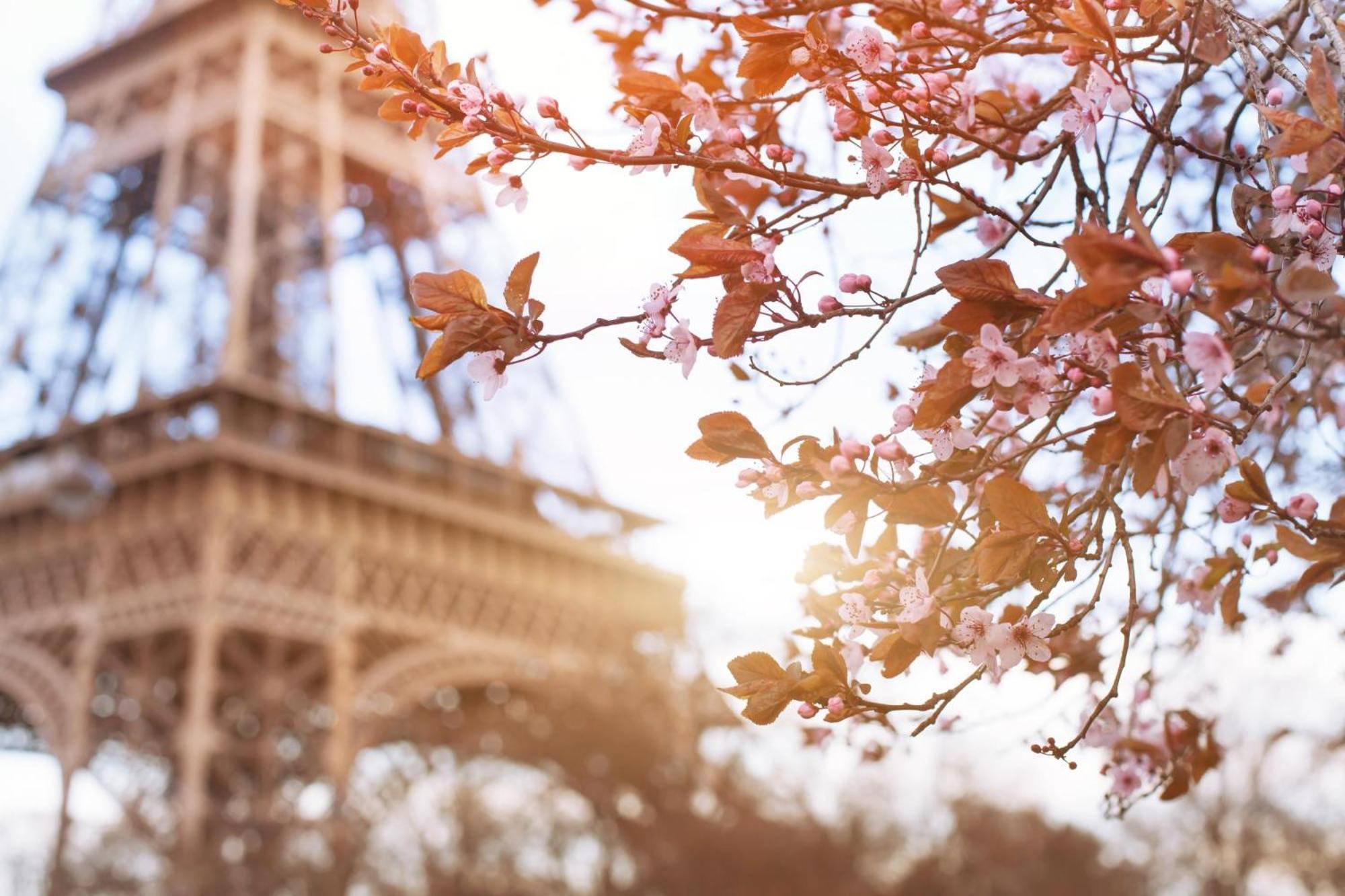 Timhotel Tour Eiffel Paris