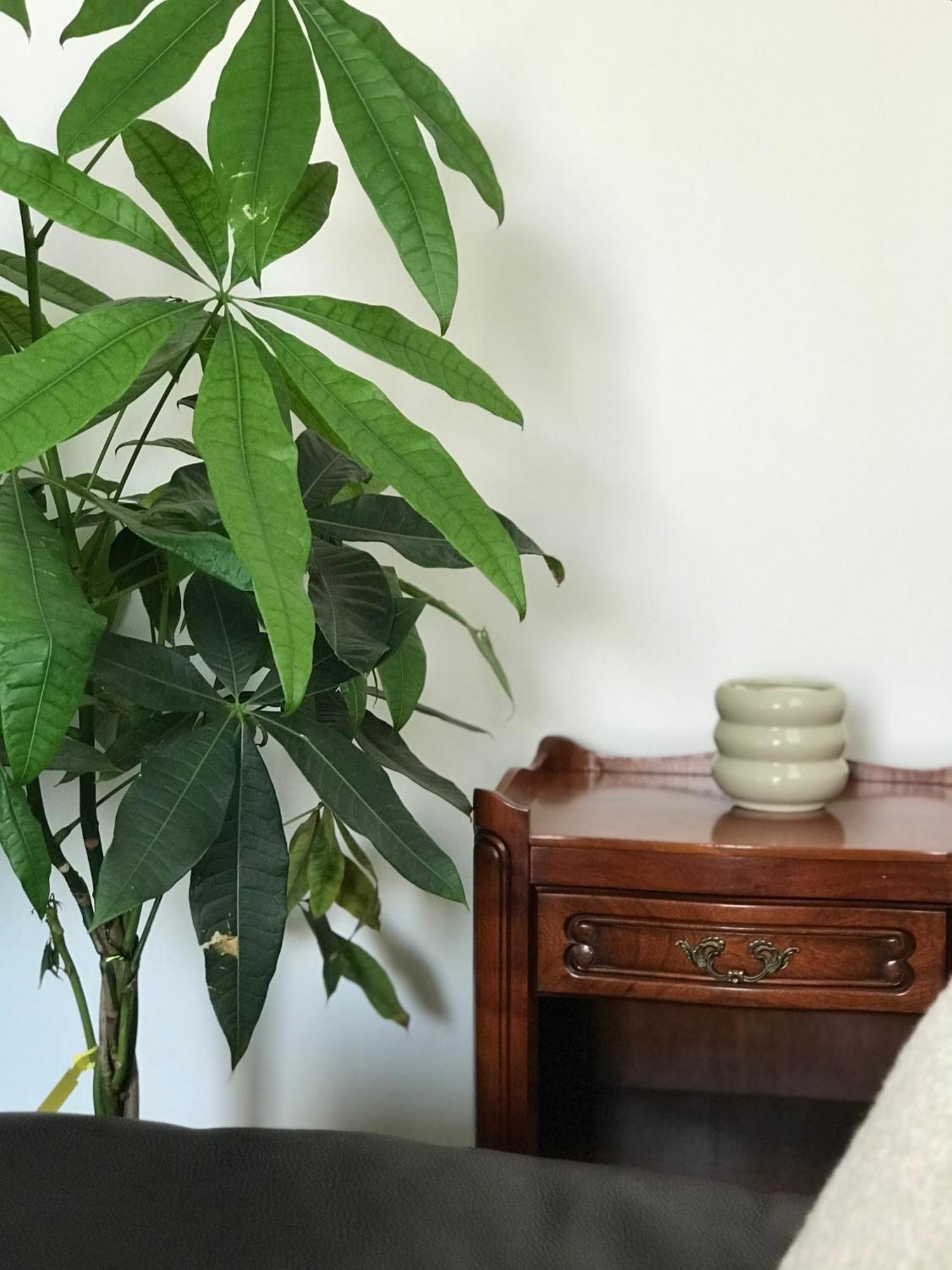 Apartment Cozy Frenchy Nearby La Seine Paris