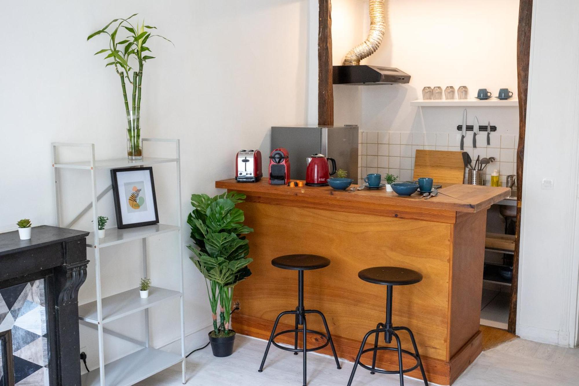 Luxury Parisian Notre Dame Saint Germain Des Pres Appartement
