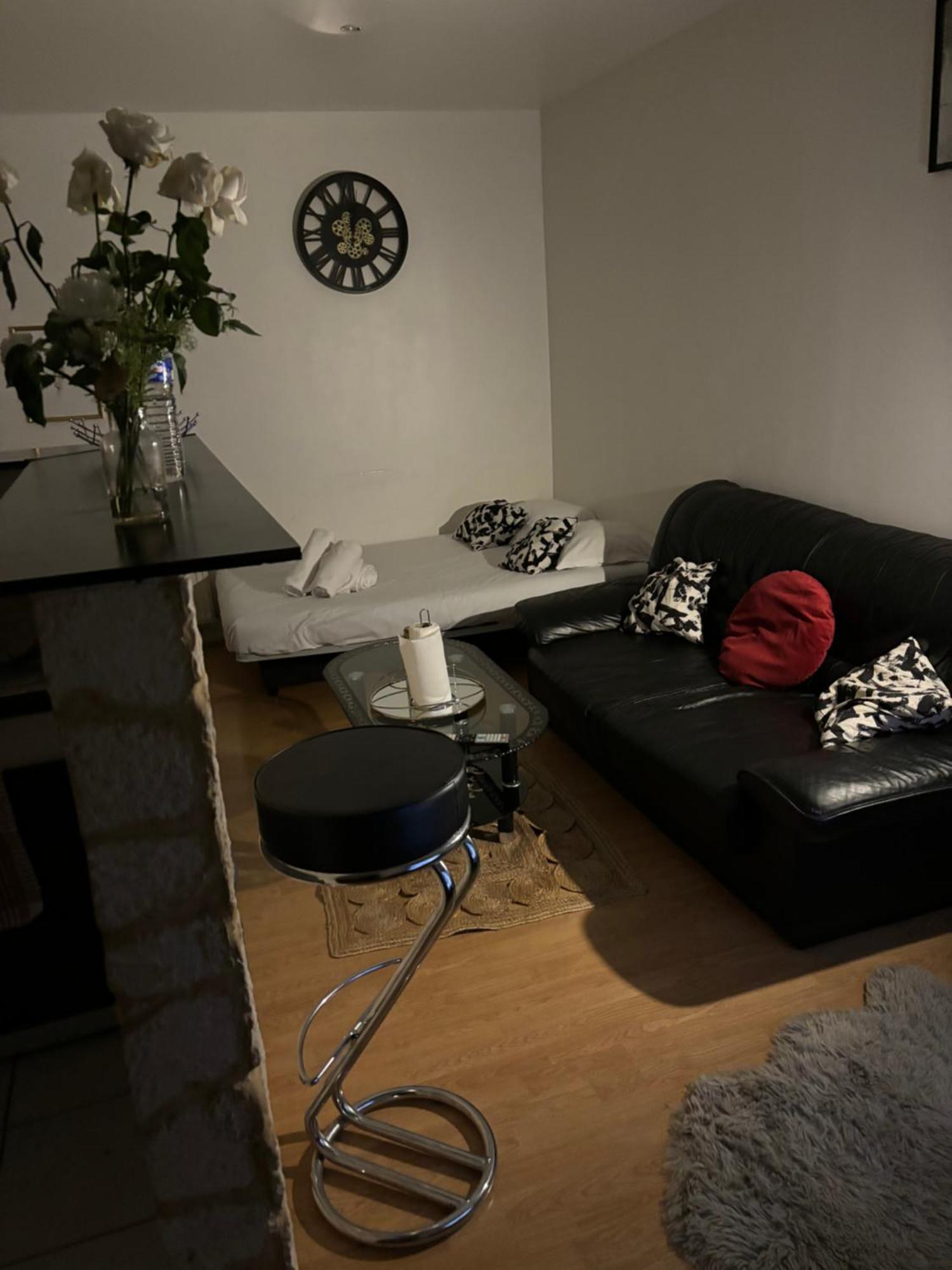Agreable Appartementbuttes-chaumont *