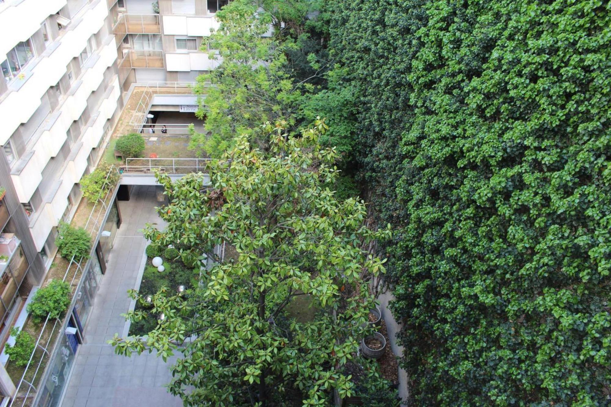 Short Apartment Paris