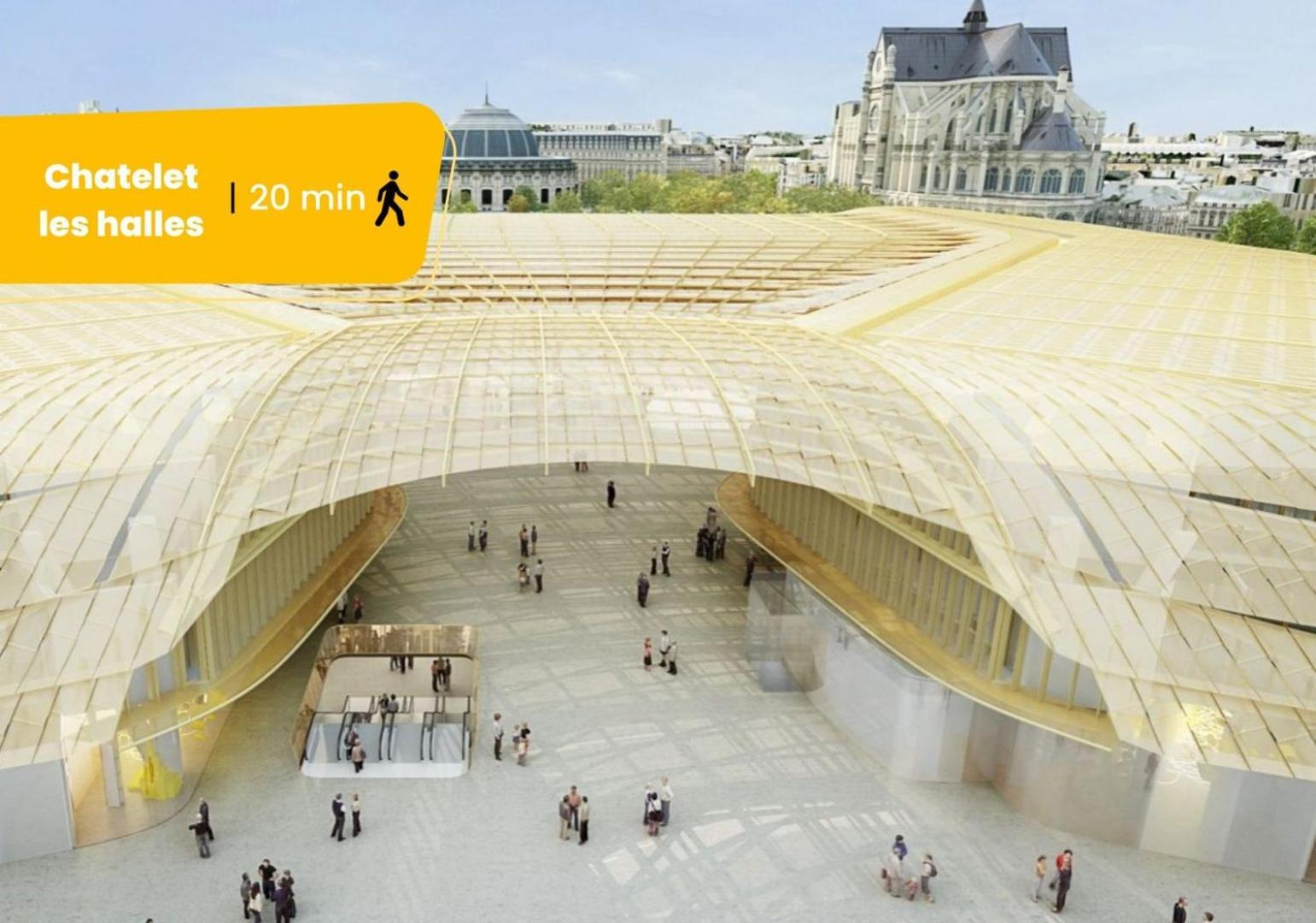591 Daphne - Superbe Studio A