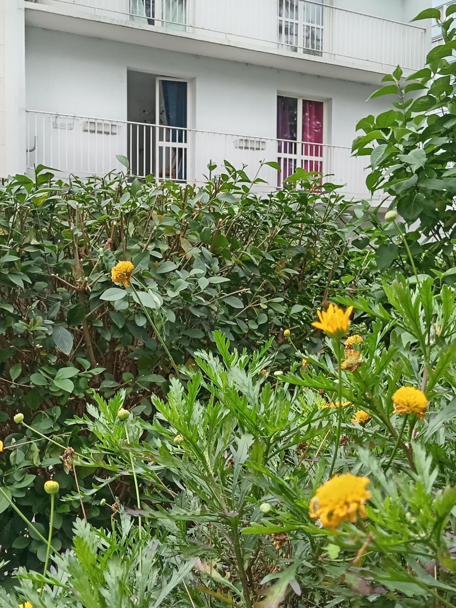 Homestay Cosy Centre Au Pied Du Metro *