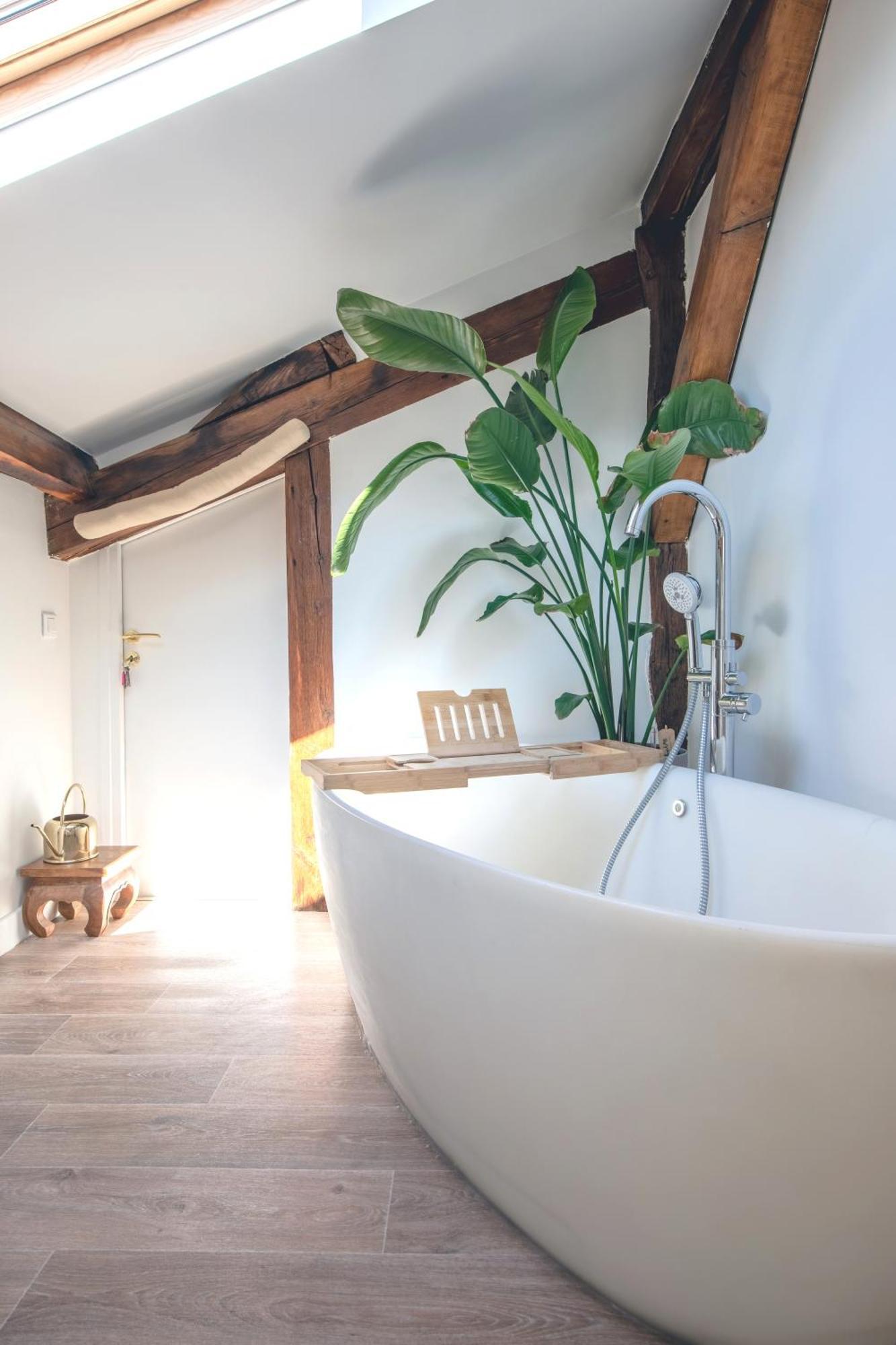 Luxury Floor Duplex Near Le Marais Apartment