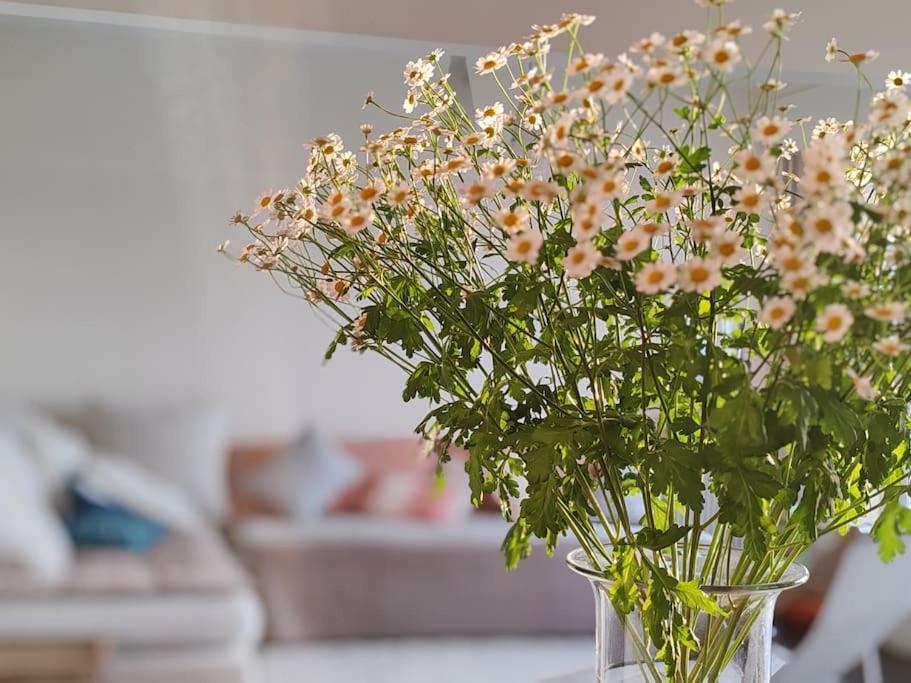 Apartment 20 Eme Rue Des Vignoles Au 6 Eme Ciel Paris