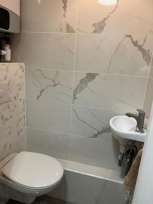 Appartement Cosy - Parc Des Expositions Porte De Versailles *