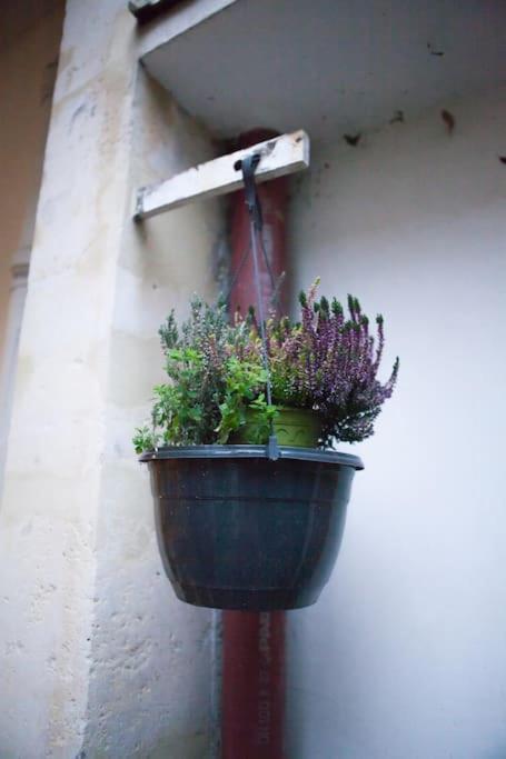 Charming In A Courtyard In Apartment Paris