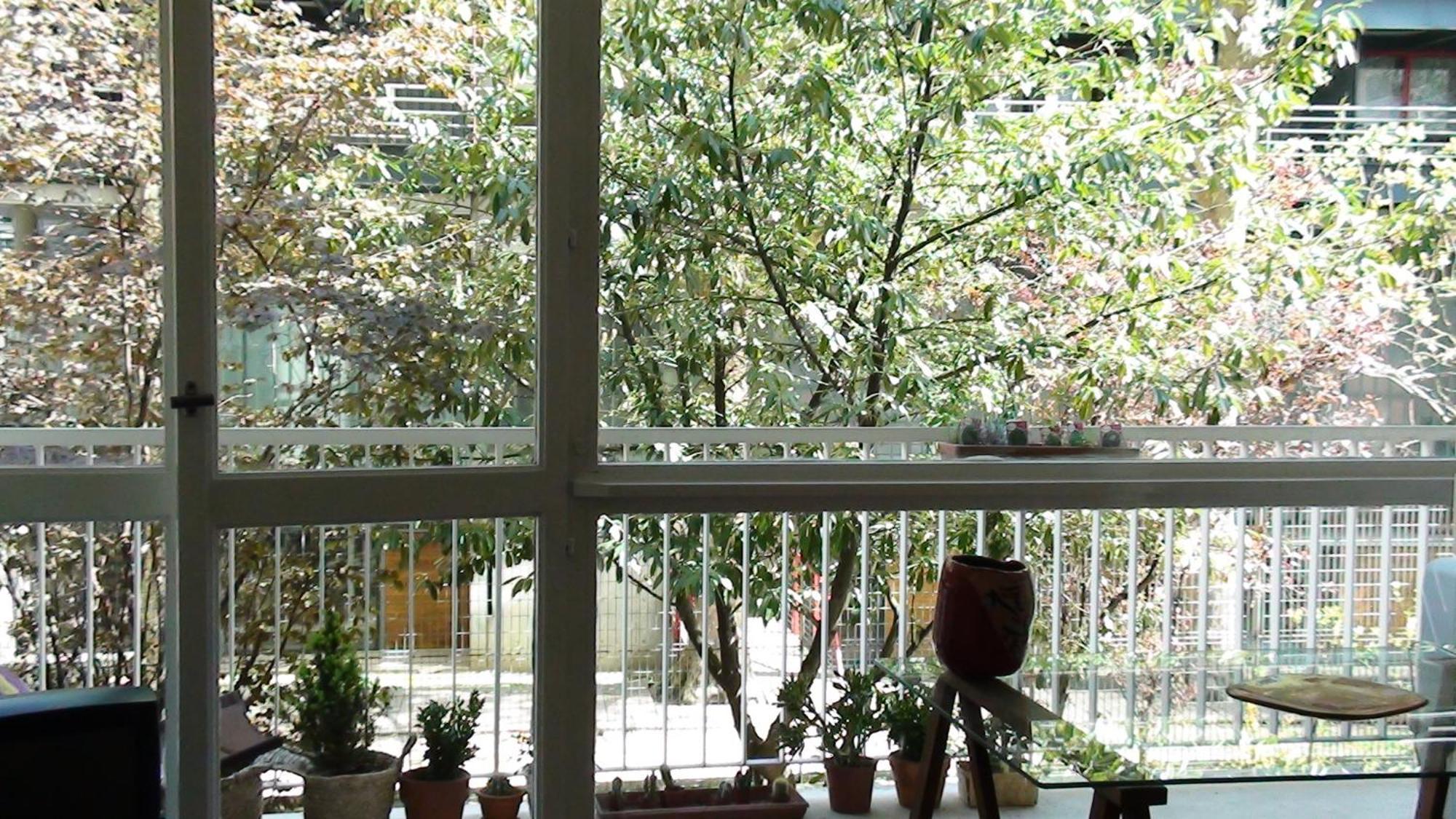Le Cocon Parisien - Charme Et Lumiere Apartment