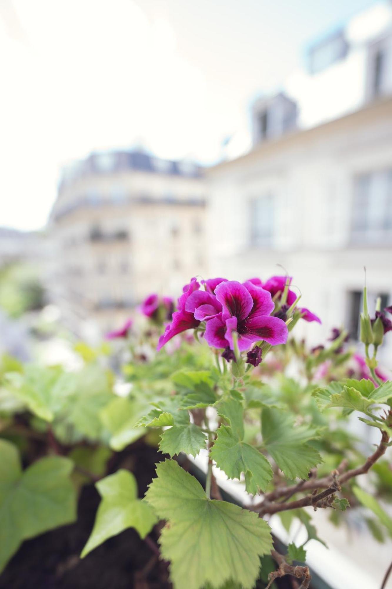 -rodier-
