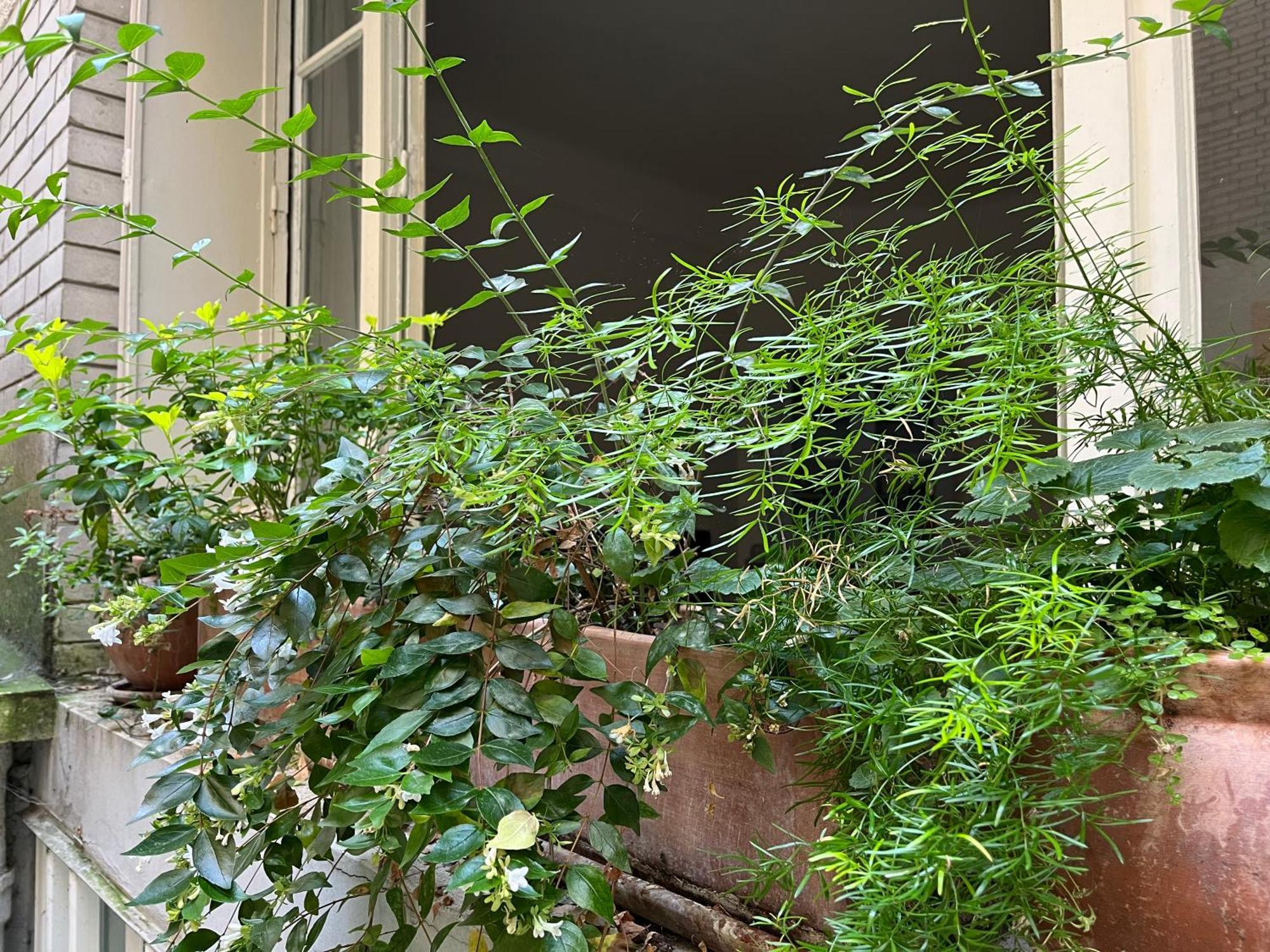 Comme Petite Maison Apartment