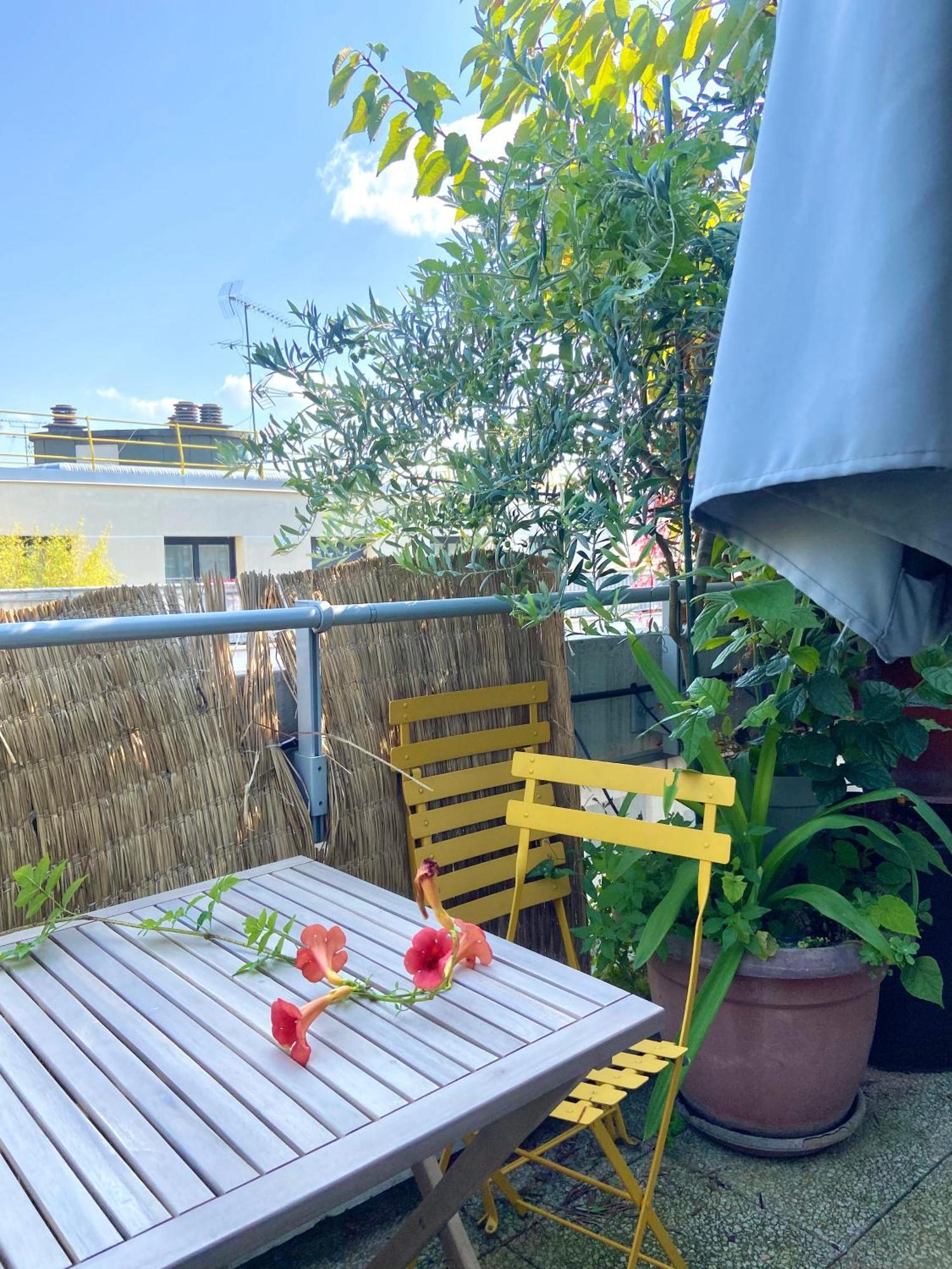 Apartment Avec Terrasse Paris