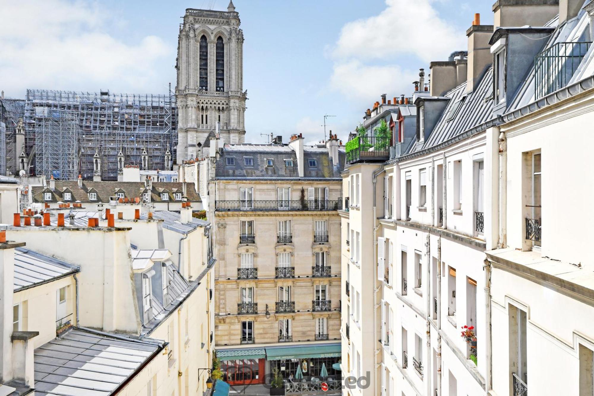 Apartment Ile De La Cite - Seine & Notre Dame View