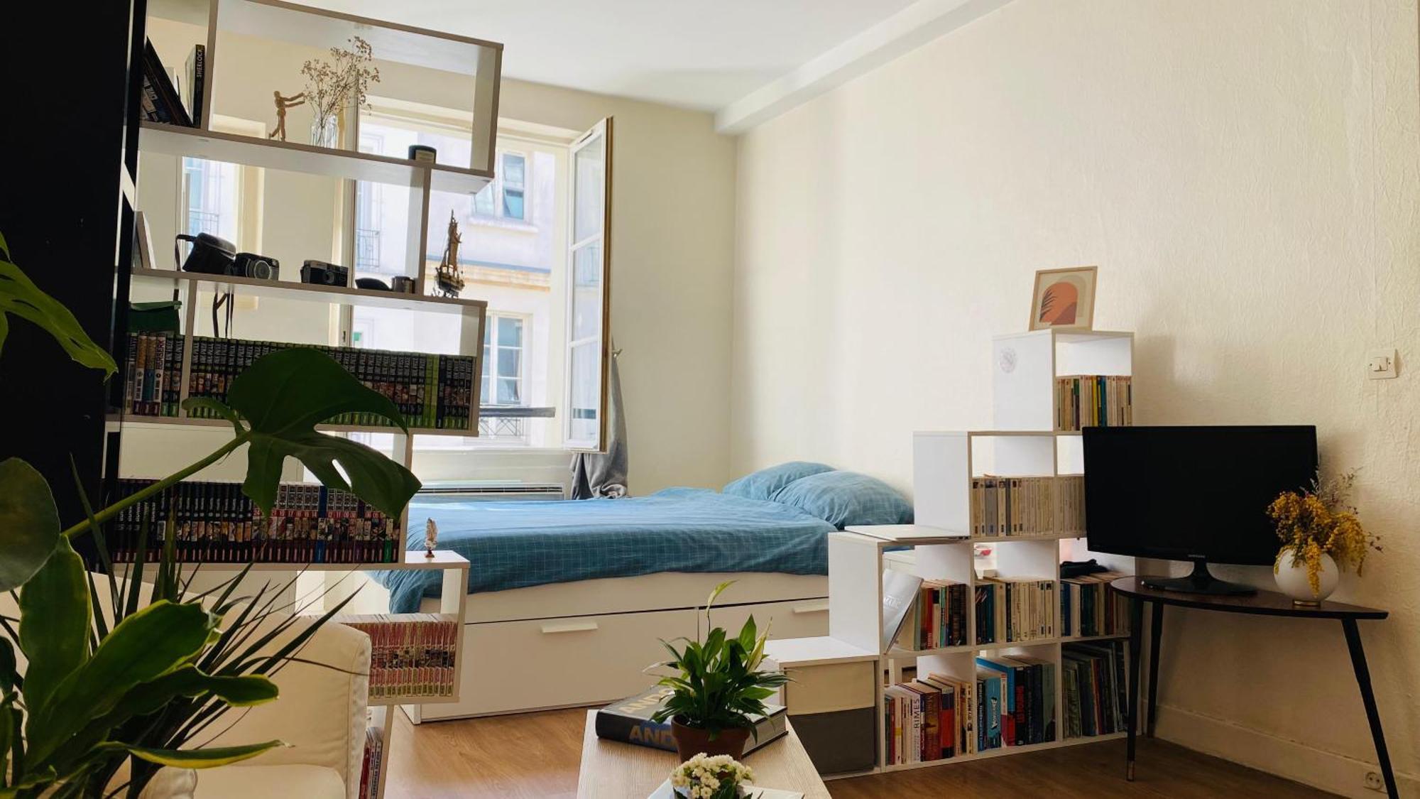 Proche Pantheon - Voisin De Emily In Apartment *