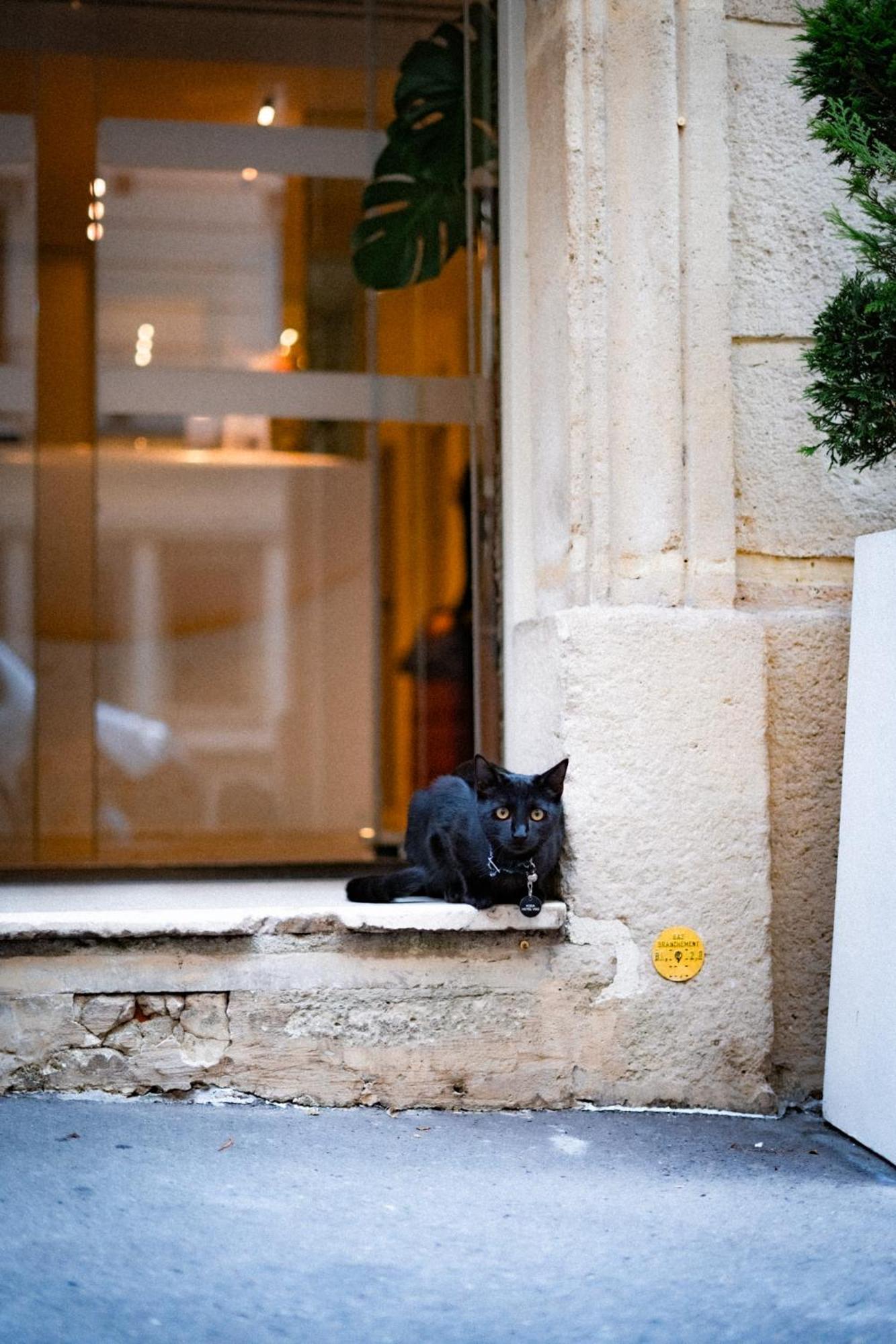 Vendome Saint-germain Paris