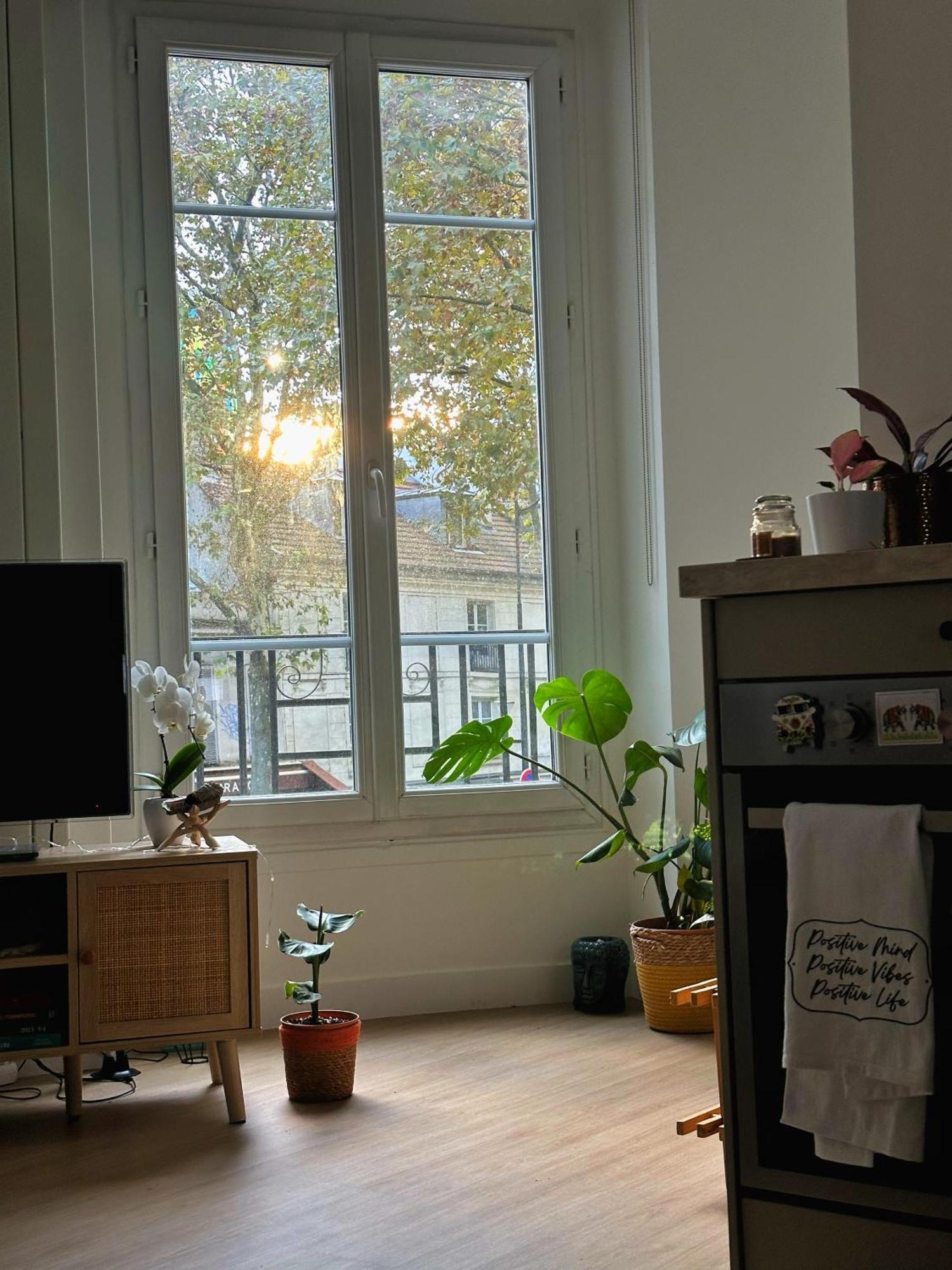 Appartement Calme Et Cozy En Plein Paris