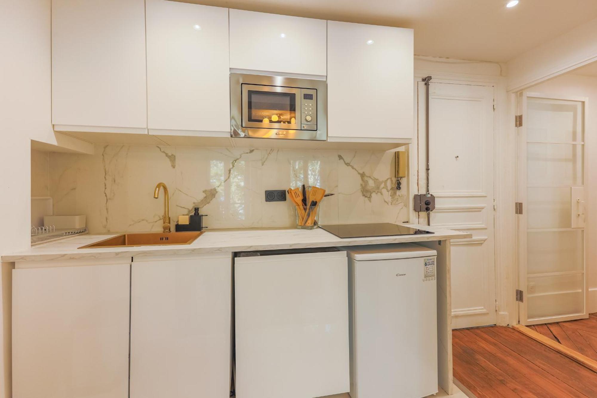 Champs Elysees Luxury Appartement