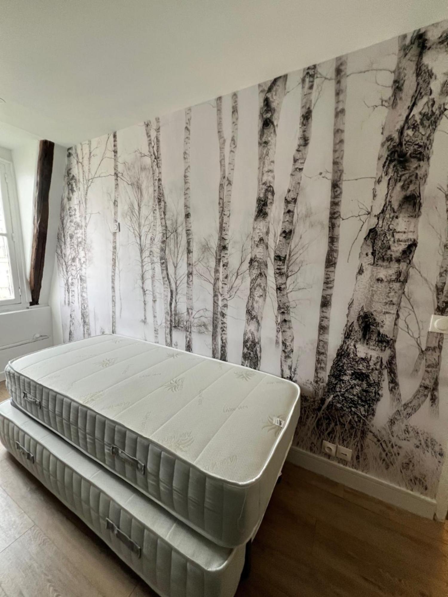 Batignolles, Montmartre 12m2 , Metro 13 Et 14 Apartment