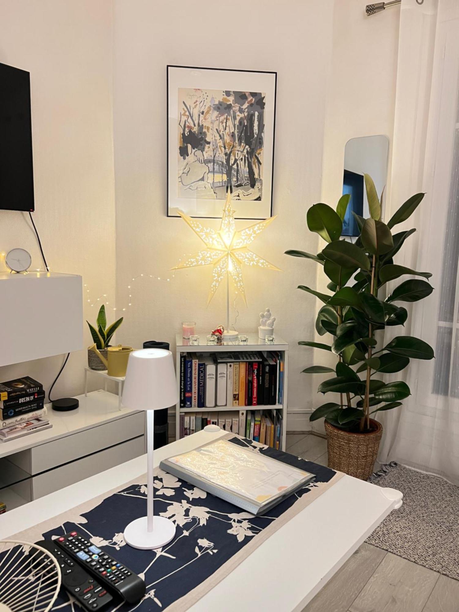 Appartement T2 Cosy Et Lumineux Au Coeur De Paris12