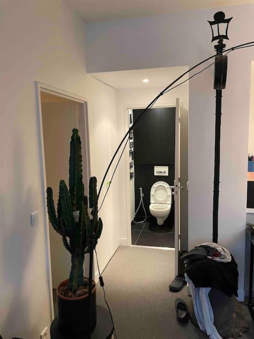 Apartment 16e Arrondissement Superbe 45 M2 Plein Sud *