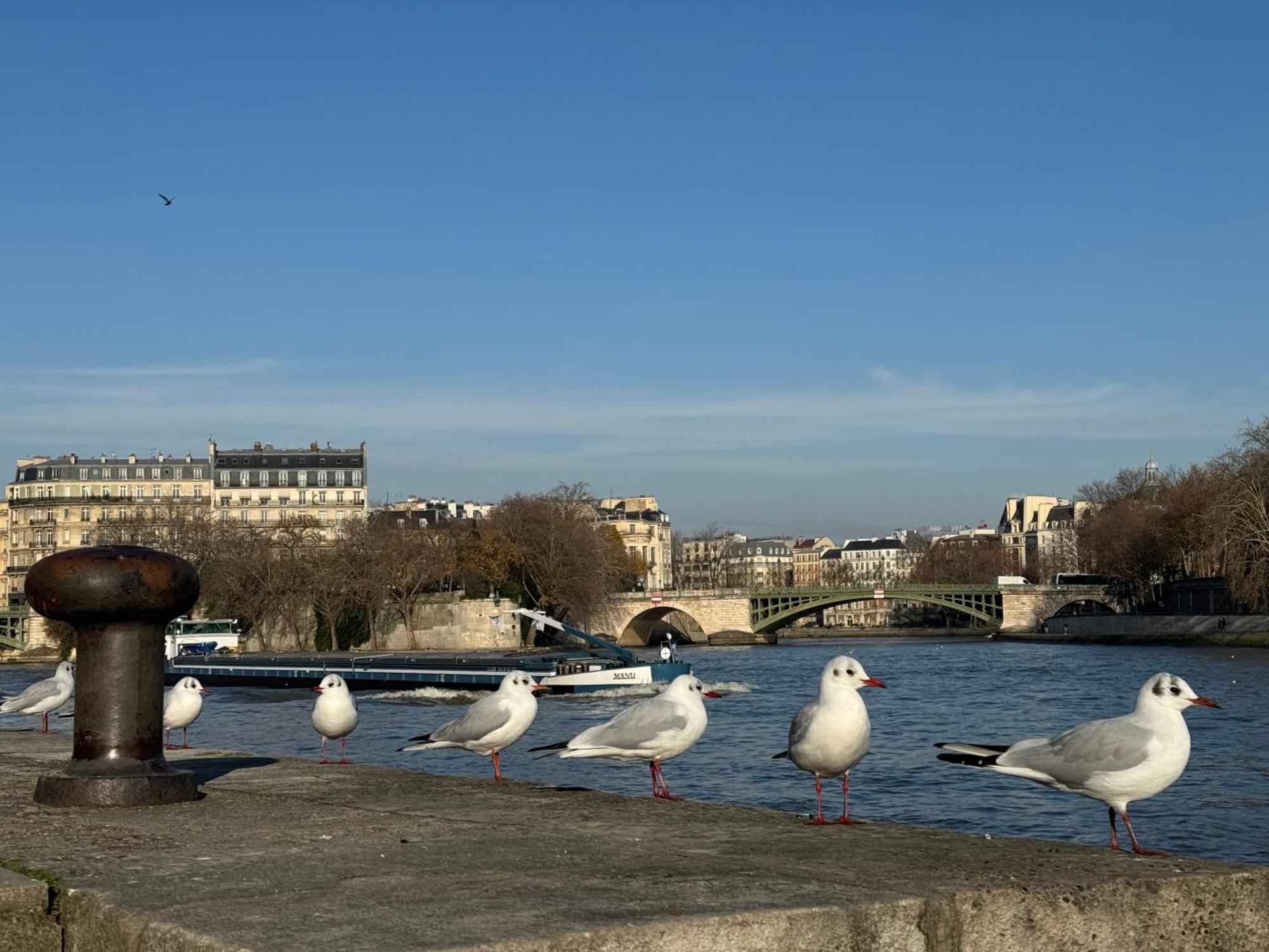 New Private Center - Les Arenes Pantheon Notre-dame Jussieu Jardin Des Plantes Quai De Seine Apartment Paris