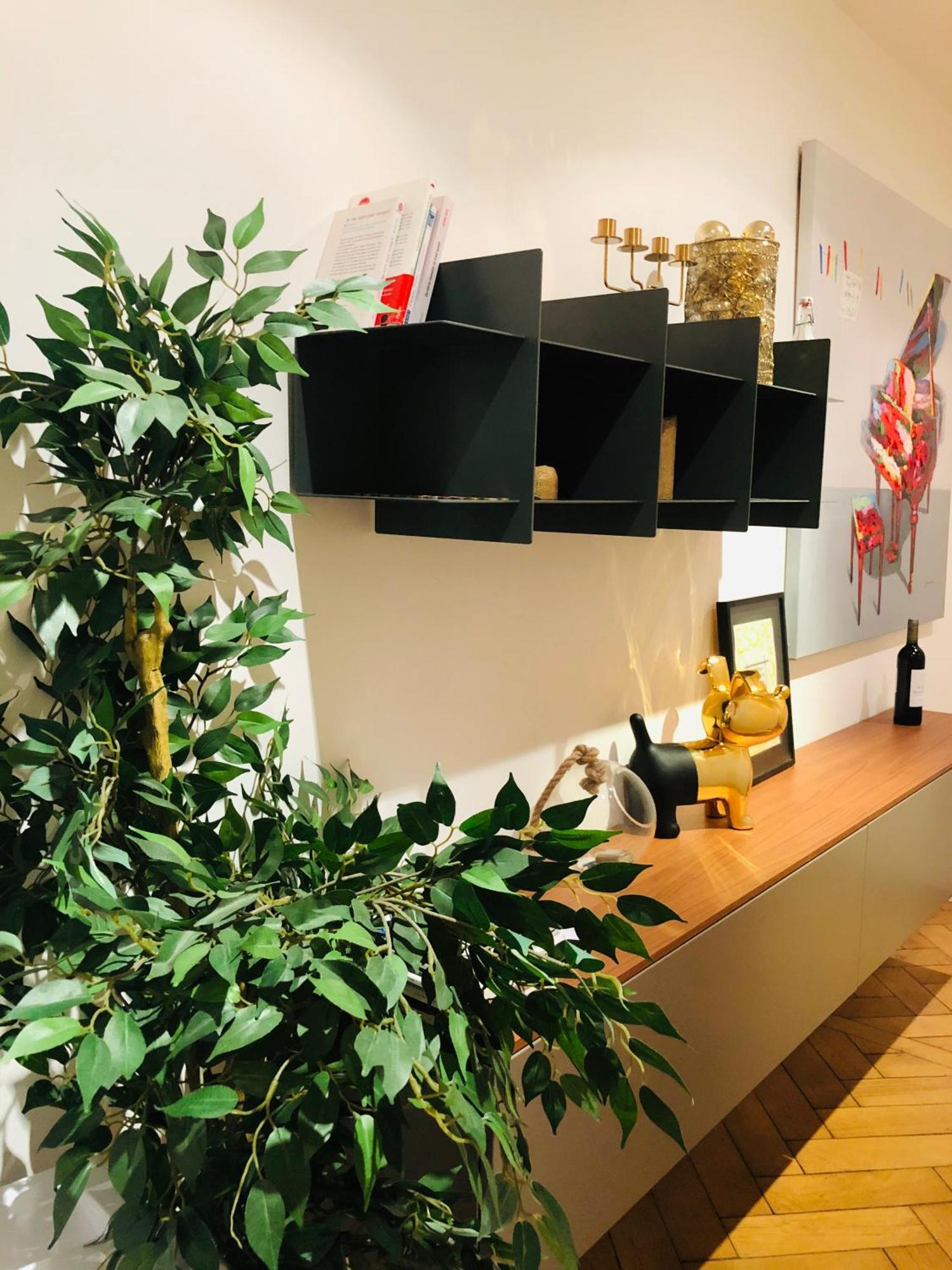 21a Marechal Foch Avenue Champs-elysees Appartement