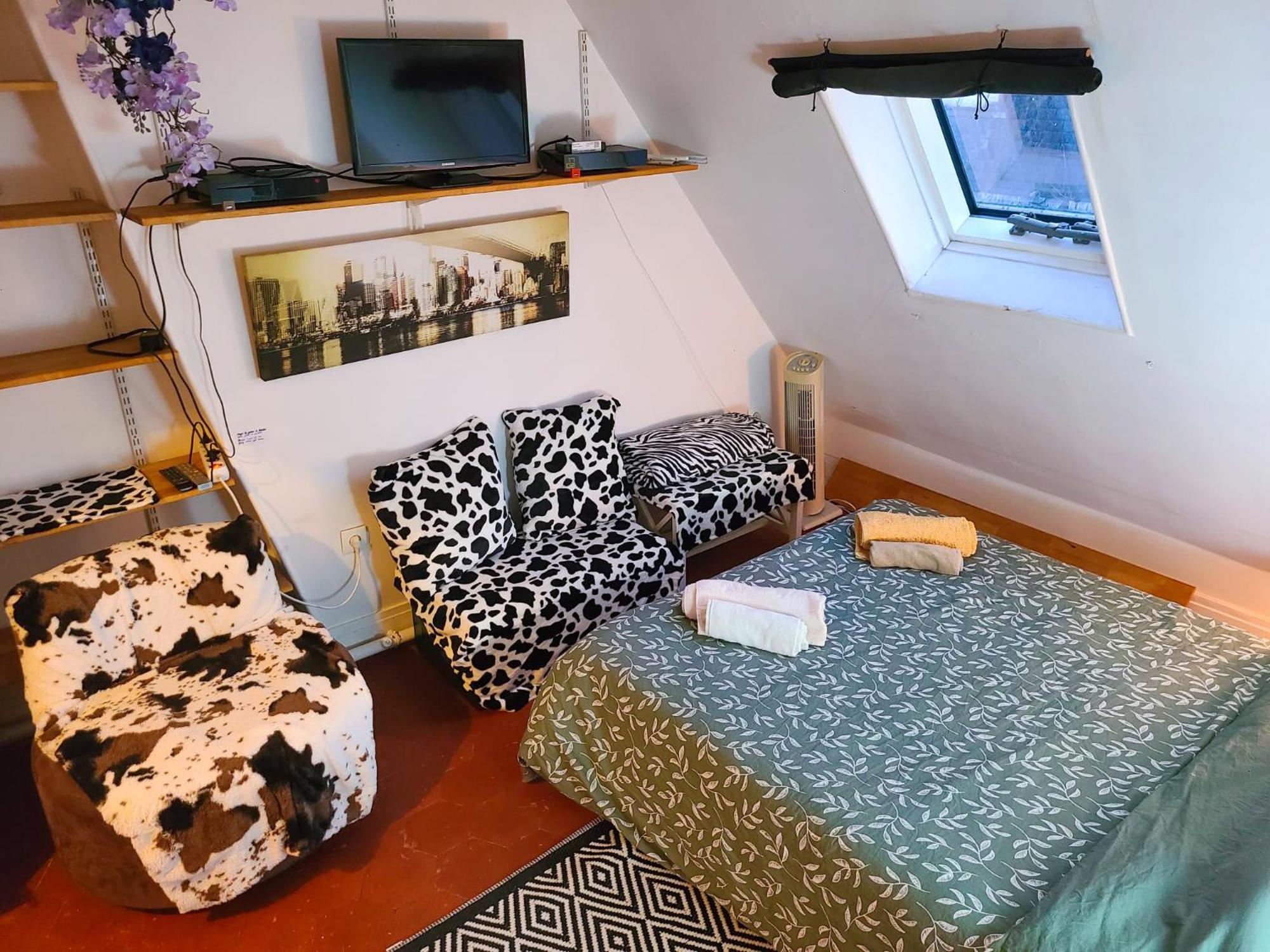 Nid Douillet Sous Les Toits Gare Du Nord 10 Apartment *